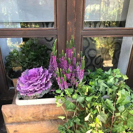 Апартаменты Ancienne Maisonnette *