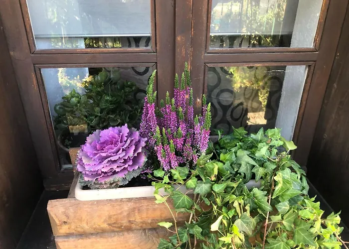 公寓 Ancienne Maisonnette *