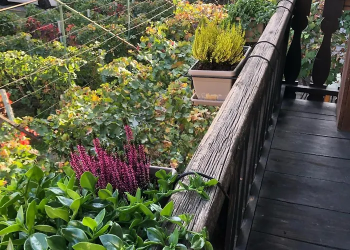 Ancienne Maisonnette Апартаменты Аоста